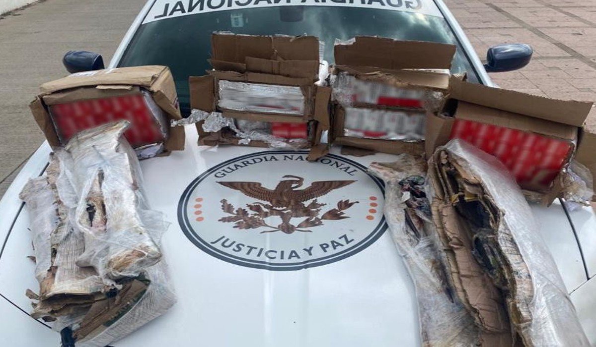 Guardia Nacional asegura fusiles y más de seis mil cartuchos transportados en tráiler en Zacatecas