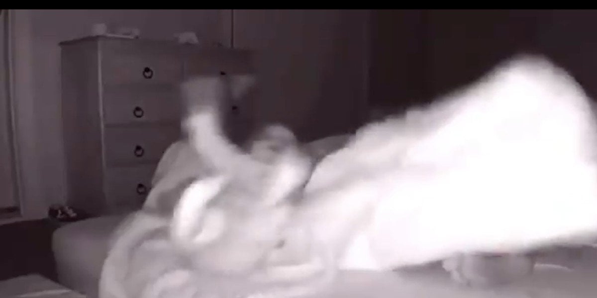 Papá dormido patea a bebé pensando que era el perro