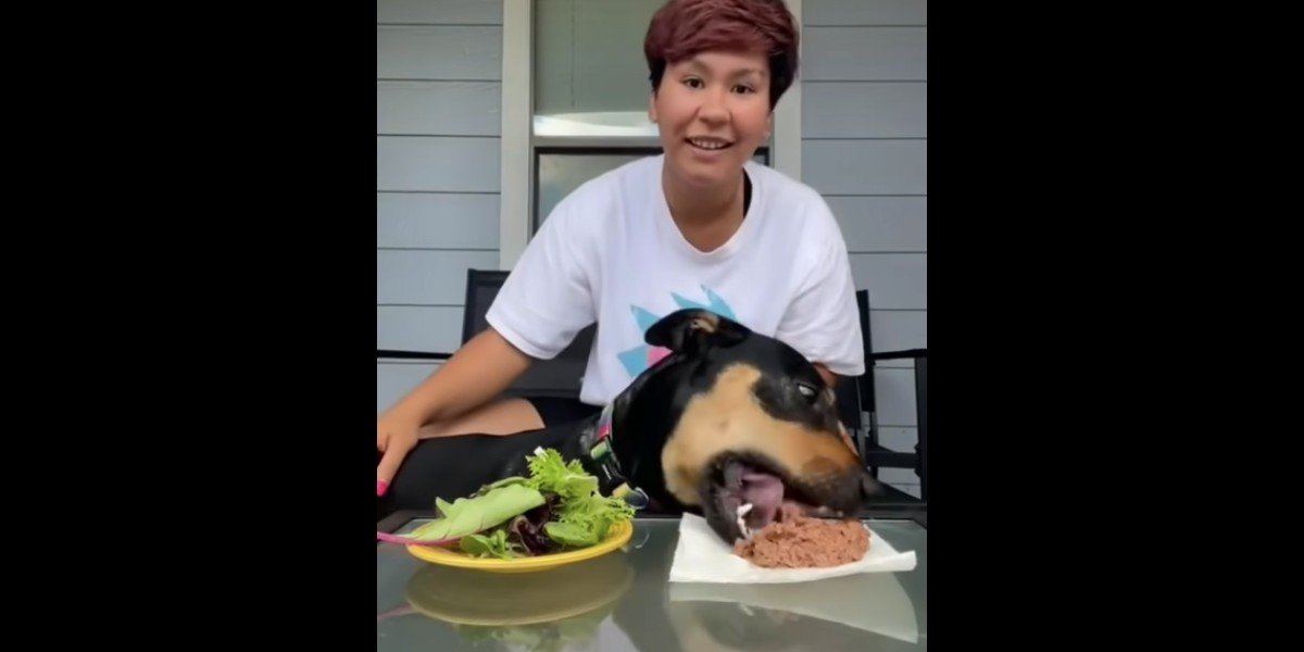 Perrito de Tiktoker se deja llevar por la carne, su dueña quería probar que era vegano