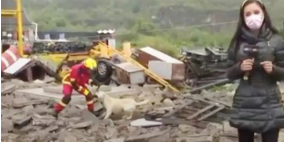 Bombero y perrito pelean por un trapo mientras reportera hacía transmisión en vivo. VIDEO