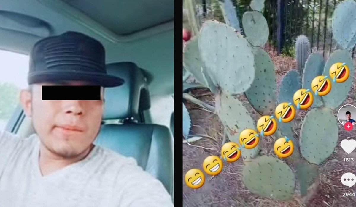Extranjero se burla de mexicanos por comer nopales: ‘parecen puercos’; caso indigna en redes