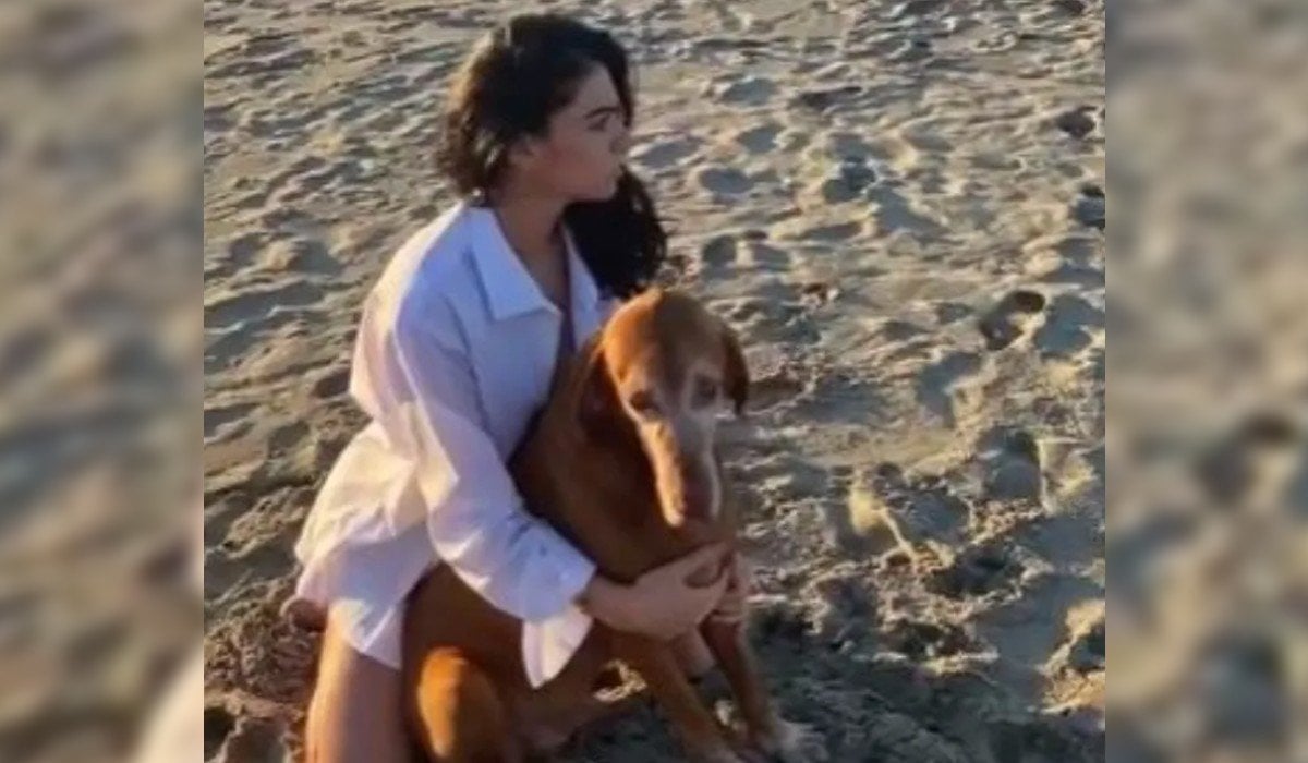 Livia Brito muestra su amor a los animales solo con una camisa