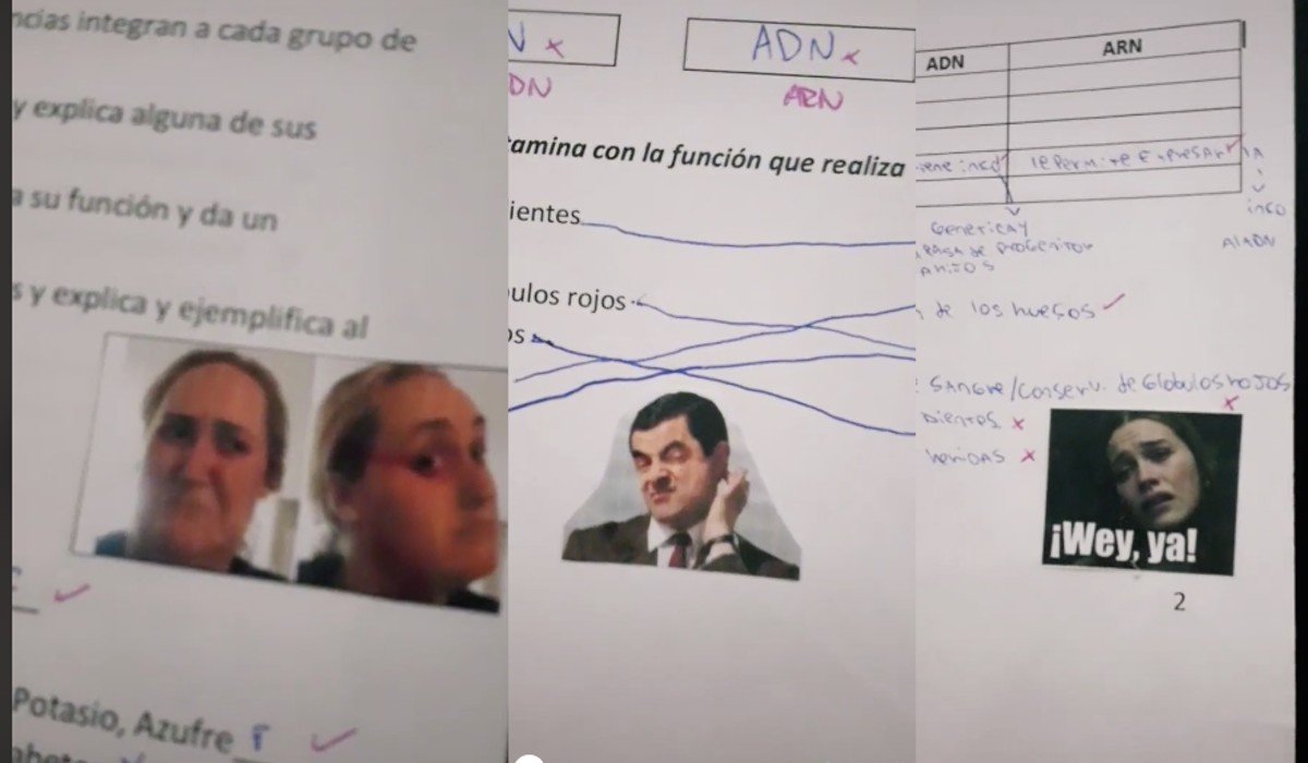 Maestra que califica con memes se hace viral en redes