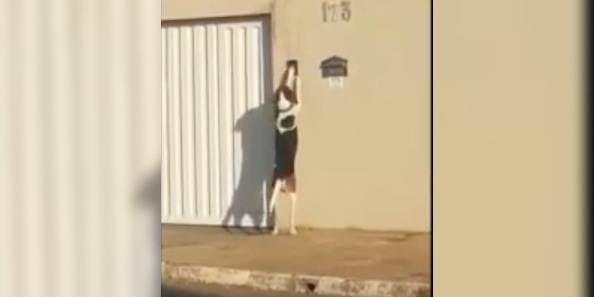 Perrito toca timbre de sus vecinos cuando sale a pasear. VIDEO