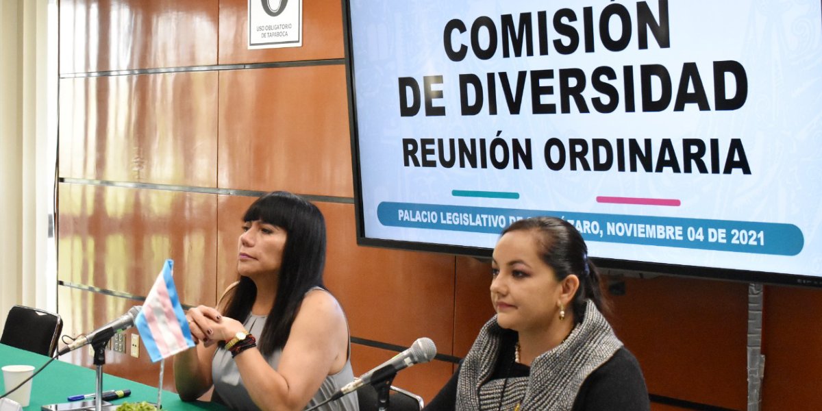 Comisión de Diversidad plantea incluir ‘género autopercibido’ en credencial para votar