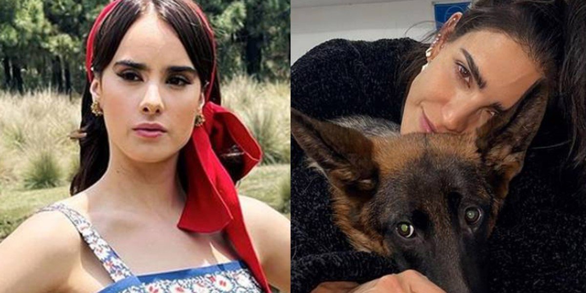 Gala Montes se lanza contra Bárbara de Regil por muerte negligente de su perrito