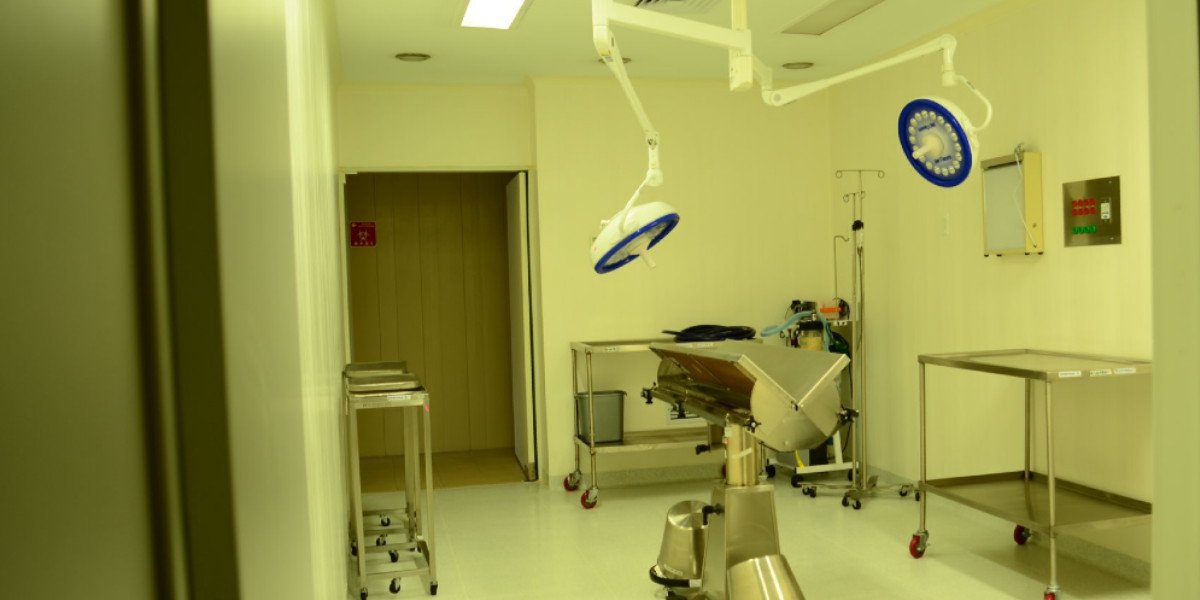 Hospital Veterinario de CDMX reabre sus puertas a un año de cierre por COVID-19