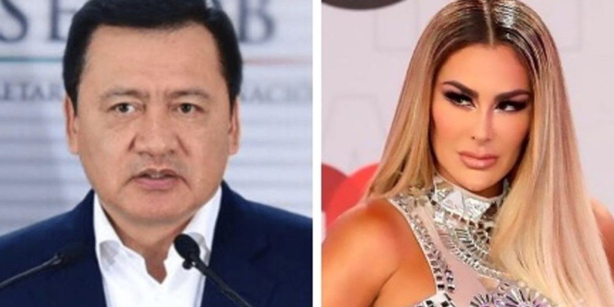 Así era la relación entre Ninel Conde y Osorio Chong, según el libro ‘Emma y las otras señoras del narco’