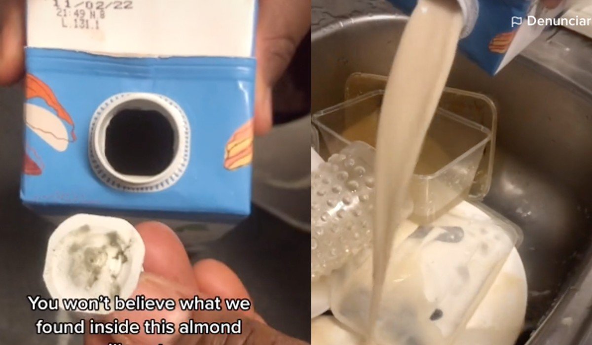 Mujer se hace viral luego de que encontró un animal dentro de su cartón de leche