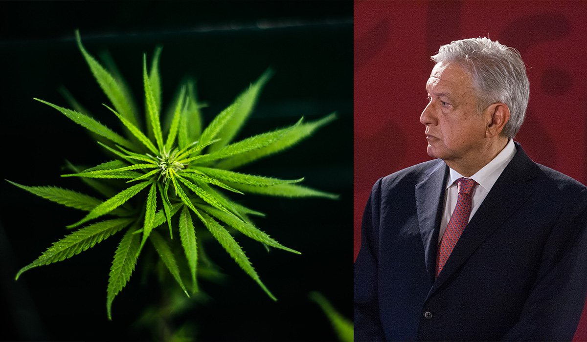 AMLO reconoce que “no hay consenso” en el Gobierno para legalizar marihuana