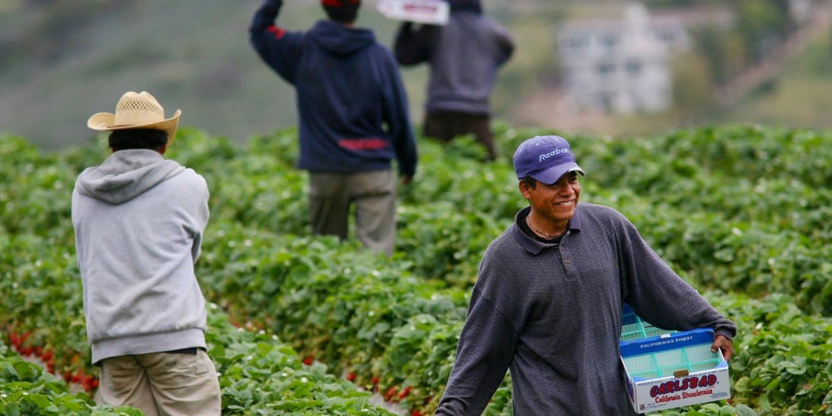 Migrantes en EUA; extienden año y medio que trabajadores sigan con permisos vencidos
