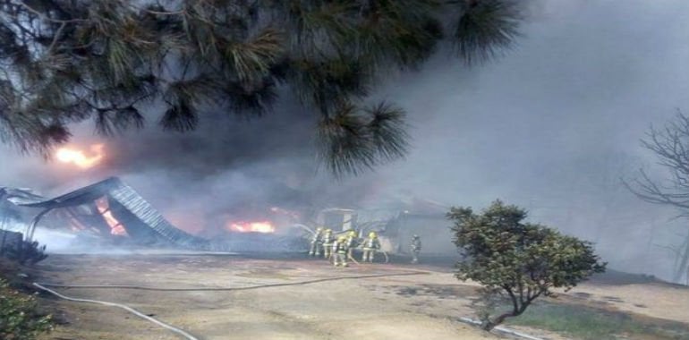 Suman 52 incendios en Oaxaca tras percance en bosque protegido de Juxtlahuaca que arrasó con 50 hectáreas