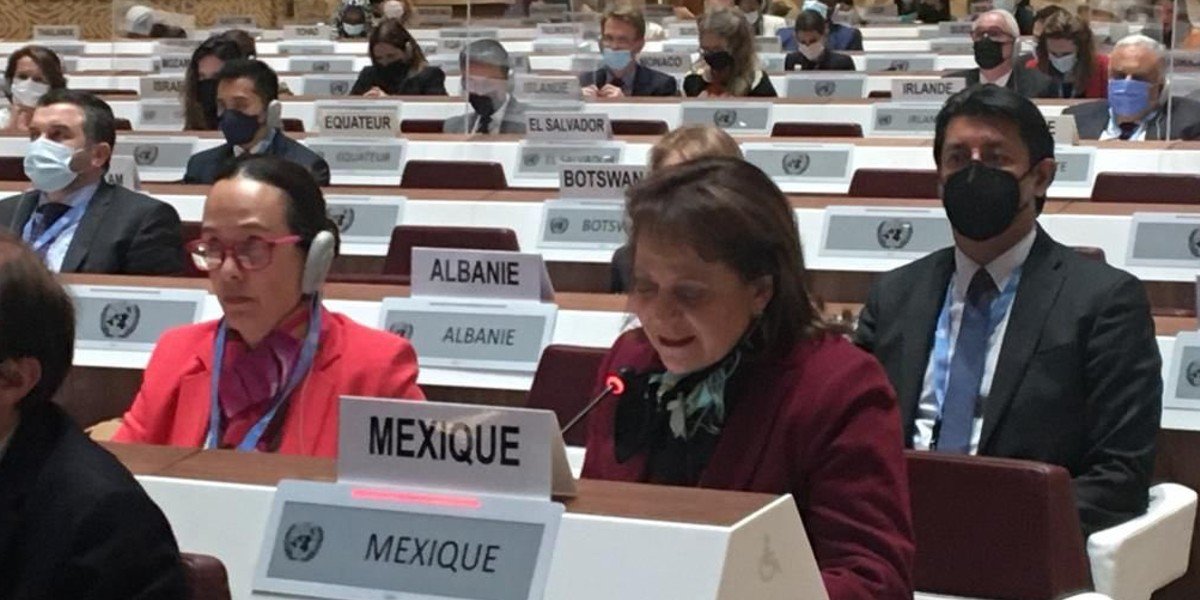 México pide ante la ONU mantener fronteras abiertas para dar refugio a desplazados por conflicto Rusia-Ucrania