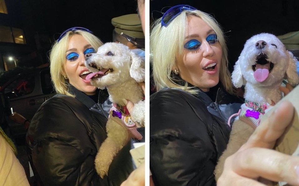 Perrita se vitaliza por su emoción al conocer a Miley Cyrus
