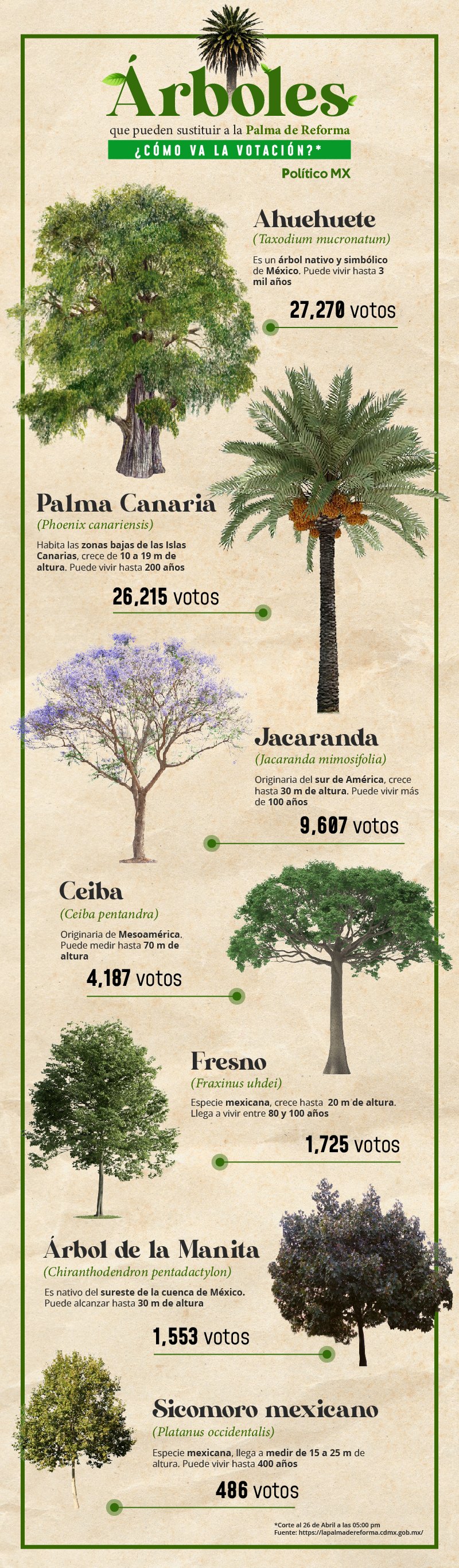 Árboles que pueden sustituir a la Palma de Reforma. ¿Cómo va la votación?
