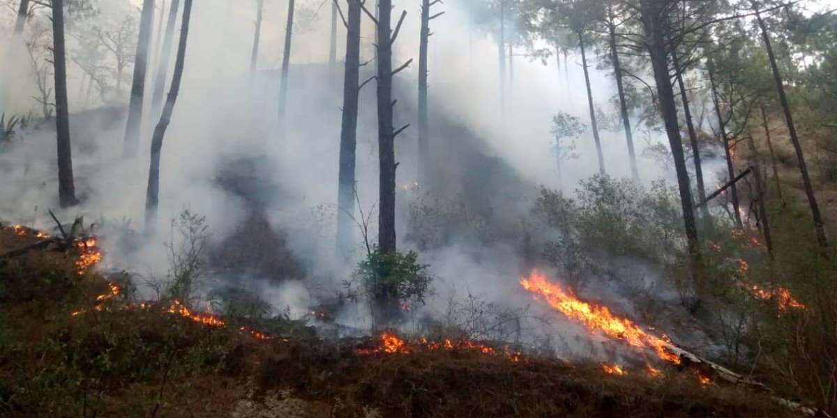 Asegura Samuel García que incendios forestales en Nuevo León son para desestabilizar su gobierno