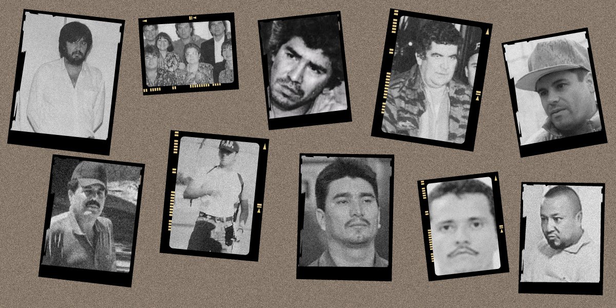 ¿En qué sexenio se fundaron los grandes cárteles de México?