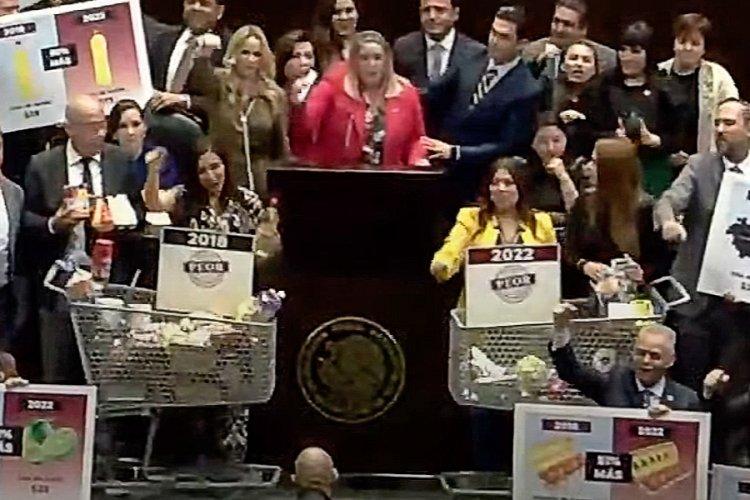 Carritos del súper y rata de peluche acaparan debate del PEF 2023 en ...