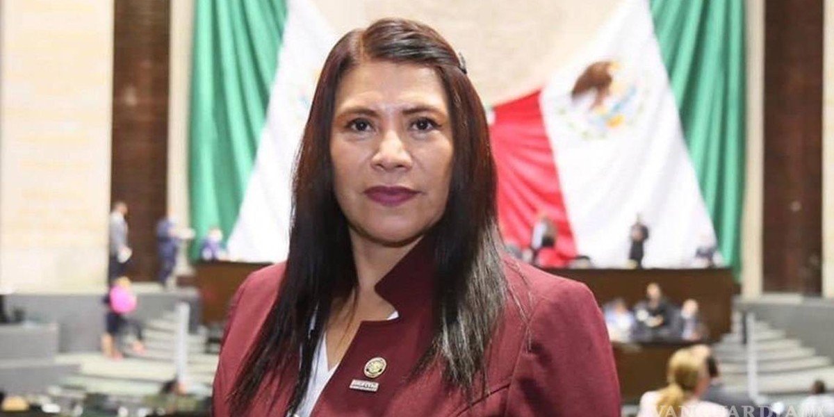 Diputada de Morena vota contra reforma electoral, es afín a Ricardo Monreal