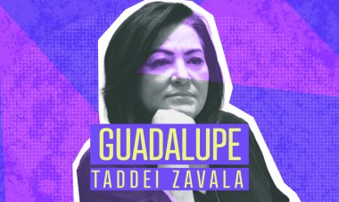 Infografía: Ella es Guadalupe Taddei Zavala