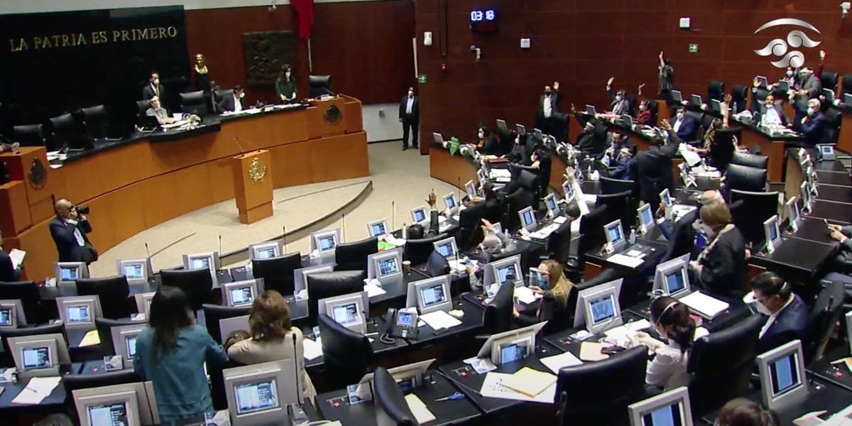 Senadores de Morena acusan censura del INE, buscarán proteger sus derechos político electorales