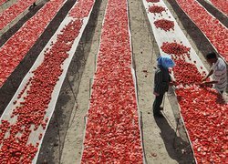 Sader revela que exportaciones agroalimentarias en 2021 alcanzaron su nivel más alto en 29 años